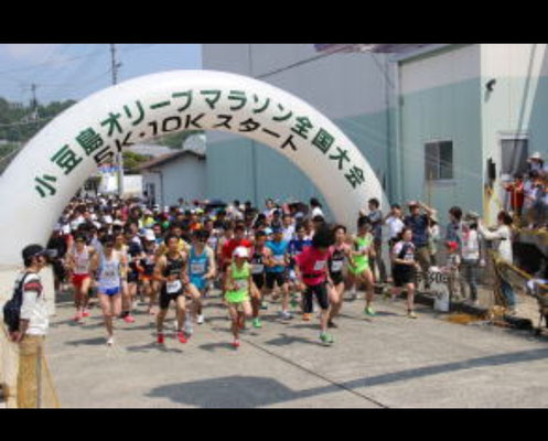 2019年5月26日　第42回小豆島オリーブマラソン全国大会