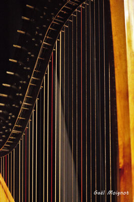 Détail de la harpe de Sandrine Sélinger, photographié par Gaël Moignot. Les Diapasons de l'AMAC, samedi 2 février 2019