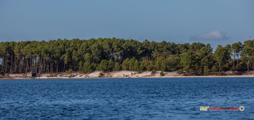 Sortie en voile, sur un multimono de l'Association la Companhia, Lac de Sanguinet. 28/09/2019