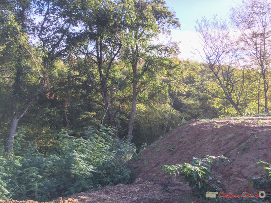 Combien d'années avant que des mouvements de terrains se facent ressentir au clos du Petit Maître ? Avenue du bois du moulin, Cénac, Gironde. 16/10/2017