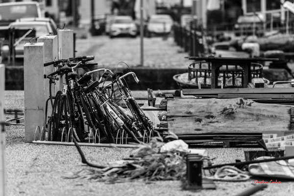 Autour du bassin à flot N°1, Bordeaux. Mardi 27 février 2024. Photographie 400mm © Christian Coulais