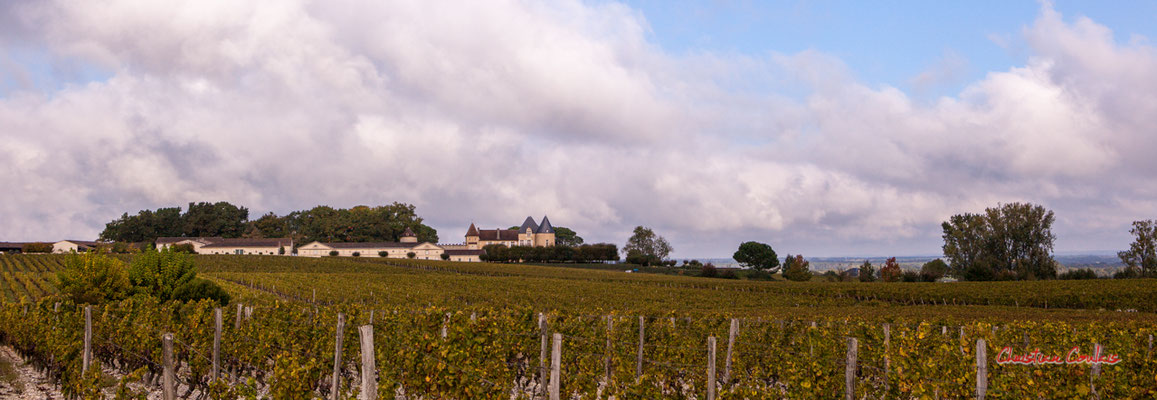 Château d'Yquem et son vignoble, Sauternes. Samedi 10 octobre 2020. Photographie © Christian Coulais