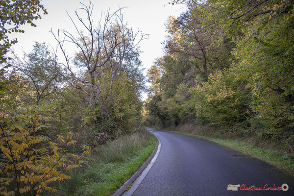 Avenue de Latresne, Cénac, Gironde. 16/10/2017