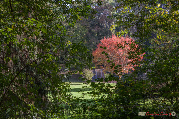 Parc du Domaine de Raoul ou de Rolland. Avenue de Roquebrune, Cénac, Gironde. 16/10/2017