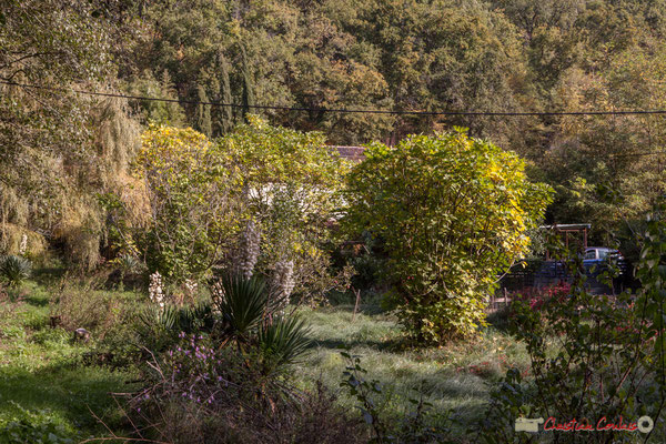 Habitat vernaculaire, à flanc de coteau calcaire. Allée Petit-Mâçon, Cénac, Gironde. 16/10/2017