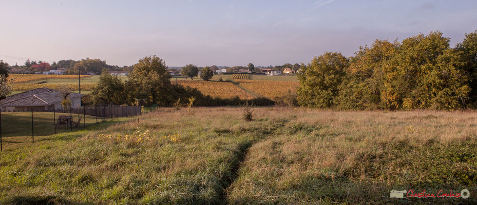 4 Point de vue vers Chabrot et le Cloutet, avenue de Mons, Cénac, Gironde. 16/10/2017