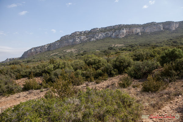 Acantilados de la piedra y San Adrian / Lumbier / Navarra
