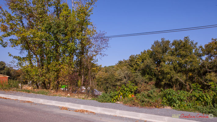3 Depuis l'avenue du bois du moulin, le clos du Petit Maître, Cénac, Gironde. 16/10/2017