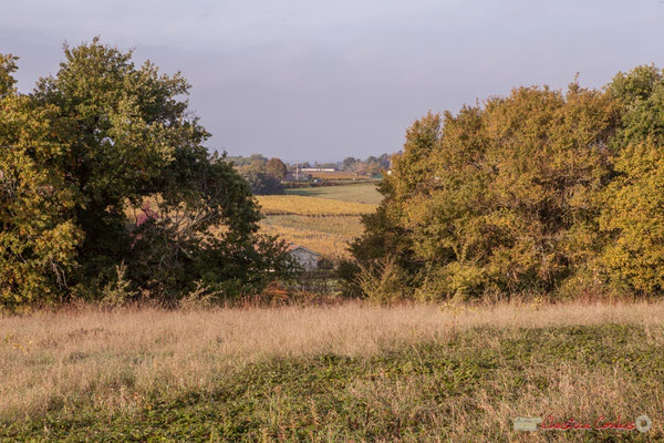 5 Point de vue vers Haut-Brignon, avenue de Mons, Cénac, Gironde. 16/10/2017