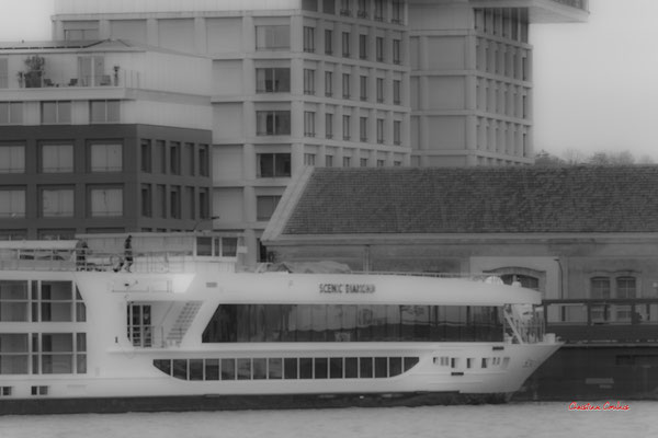 Autour du bassin à flot N°1, Bordeaux. Mardi 27 février 2024. Photographie 400mm © Christian Coulais