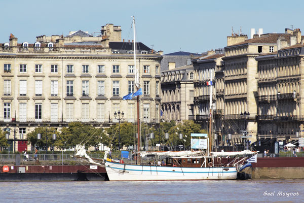 Bordeaux fête le fleuve par Gaël Moignot. Bordeaux, samedi 22 juin 2019