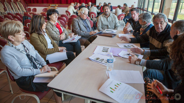 Réflexion sur la mobilité, Conseil consultatif citoyen du canton de Créon, Sadirac