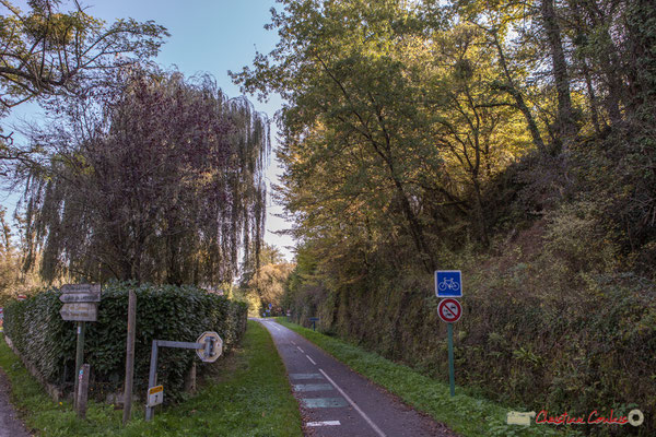 Piste Roger Lapébie / voie verte (Bordeaux - Sauveterre-de-Guyenne). Avenue de Latresne, Cénac, Gironde. 16/10/2017
