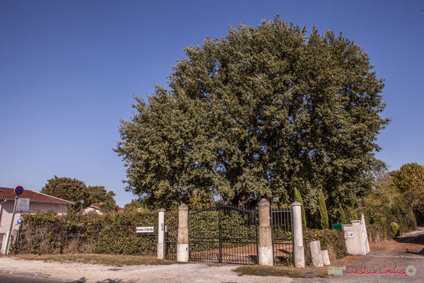 Entrée du Château (qualifié ainsi sur un acte notarié de 1914) Le Sorbier, anciennement domaine Sallenave, Labat, puis Bazanac. Avenue de Bordeaux, Cénac, Gironde. 16/10/2017