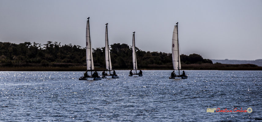 "Ecole de voile" Sortie en voile, sur un multimono de l'Association la Companhia, Lac de Sanguinet. 28/09/2019