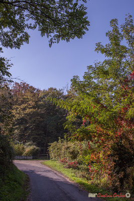 Allée Bernadotte, Cénac, Gironde. 16/10/2017