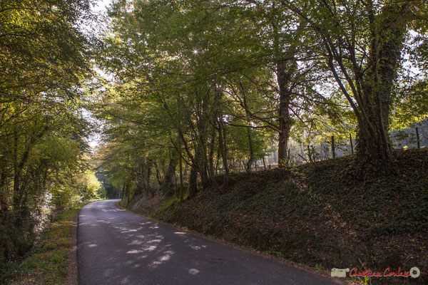 Avenue de Roquebrune, Cénac, Gironde. 16/10/2017