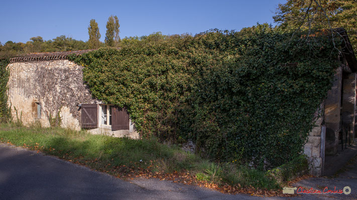 Ancienne maison de paysan / vivier (XVIIème siècle) du Domaine de Raoul / Rolland, puis Roquebrune. Avenue de Roquebrune, Cénac, Gironde. 16/10/2017