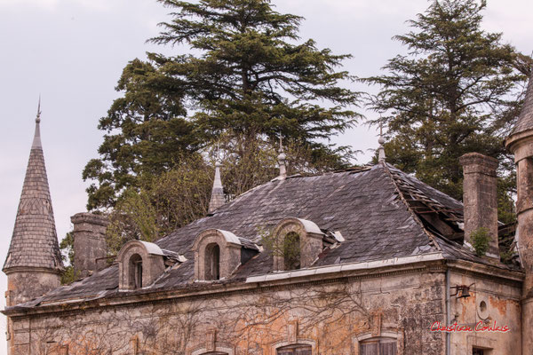 4/8 Château Haut-Brignon, Cénac. Mardi 7 avril 2020. Photographie : Christian Coulais