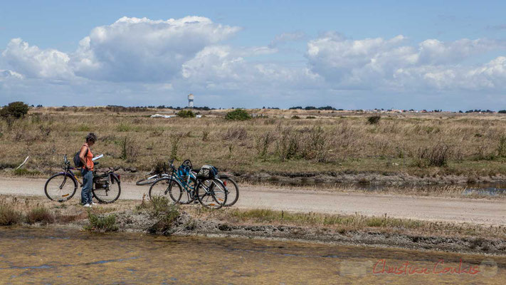 Balade à bicyclette dans les marais salants de l'Île de Noirmoutier entre l'Epine et Noimoutier en l'Île, Vendée, Pays de la Loire