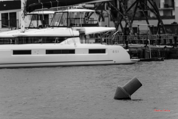 Autour du bassin à flot N°1, Bordeaux. Mardi 27 février 2024. Photographie 400mm © Christian Coulais