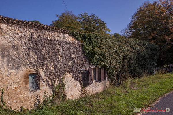 Ancienne maison de paysan / vivier (XVIIème siècle) du Domaine de Raoul / Rolland, puis Roquebrune. Avenue de Roquebrune, Cénac, Gironde. 16/10/2017