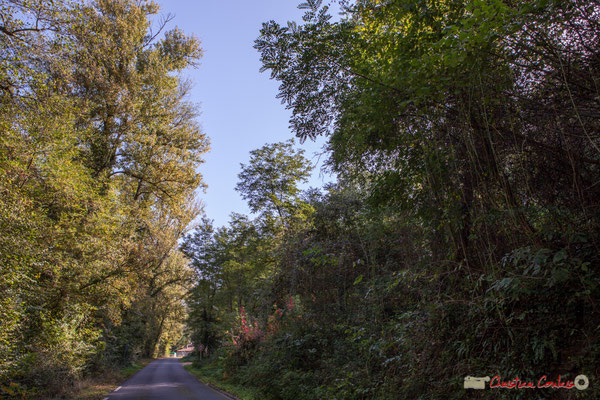 Avenue de Latresne, Cénac, Gironde. 16/10/2017