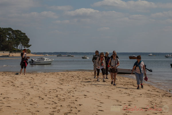 Piraillan, presqu'île de Lège-Cap Ferret, Gironde, Aquitaine