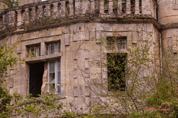 3/8 Château Haut-Brignon, Cénac. Mardi 7 avril 2020. Photographie : Christian Coulais