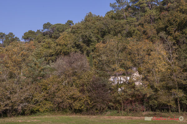 Habitat vernaculaire, à flanc de coteau calcaire. Allée Petit-Mâçon, Cénac, Gironde. 16/10/2017
