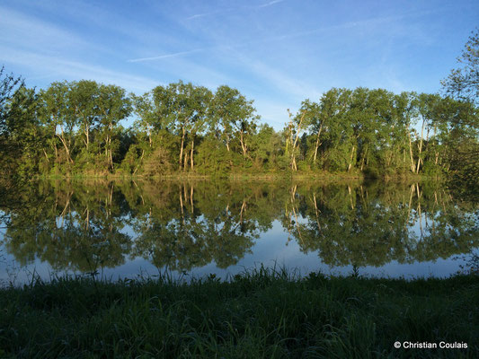 Chemin de Bastard, la Garonne et l'île d'Arcins. Gironde