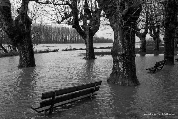 En bordure du Grand Estey et de la Garonne, inondation Le Tourne. Samedi 14/12/2019. Photographie © Jean-Pierre Couthouis