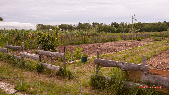 "Potager" Le jardin Délices de Claire Lasserre, 2 route de Camblanes, 33670 St Genès de Lombaud. Photographie © Christian Coulais