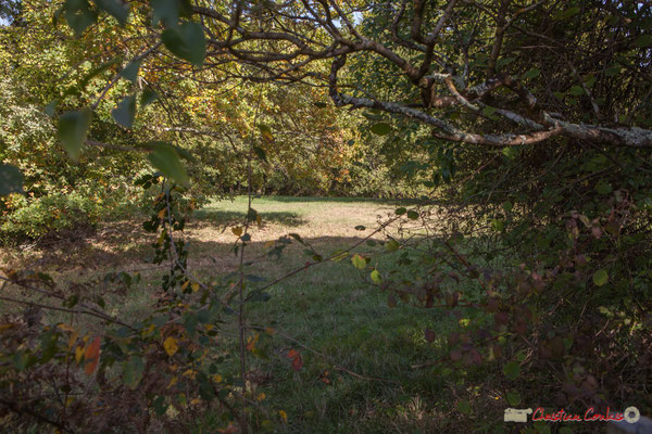 2 Autre propriété en lisière boisée. Avenue de Moutille, Cénac, Gironde. 16/11/2017