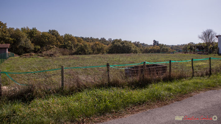 9 Côté est. Allée du Cloutet, Cénac, Gironde. 16/10/2017