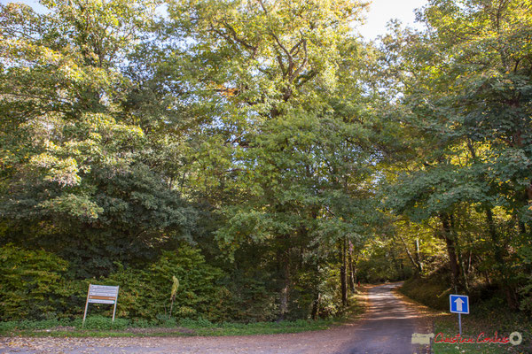 Carrefour, à droite, avenue Rauzé-Sybil, en face avenue de la Mouline, depuis l'avenue du bois du moulin, Cénac, Gironde. 16/10/2017