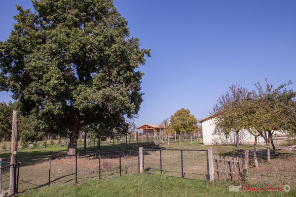 1 Hameau du Cloutet, Cénac, Gironde. 16/10/2017