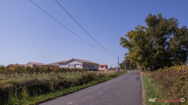 Avenue de Lignan, juste avant le hameau Chabrot, Cénac, Gironde. 16/10/2017