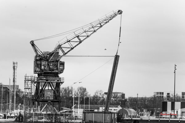 Autour du bassin à flot N°1, Bordeaux. Mardi 27 février 2024. Photographie 400mm © Christian Coulais