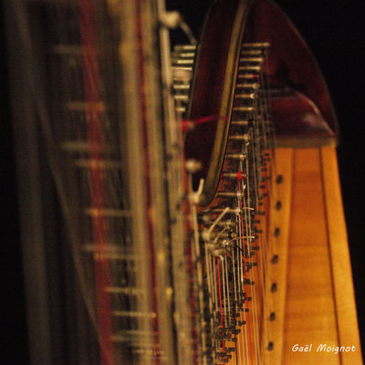 Détail de la harpe de Sandrine Sélinger, photographié par Gaël Moignot. Les Diapasons de l'AMAC, samedi 2 février 2019