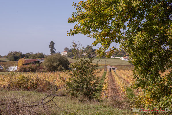 15 Un 360°, Chemin de Mons, Cénac, Gironde. 16/11/2017