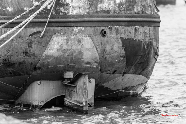 Autour du bassin à flot N°1, Bordeaux. Mardi 27 février 2024. Photographie 400mm © Christian Coulais