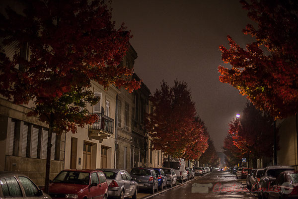 Rue des douves, Bordeaux