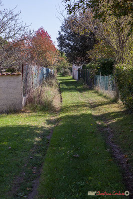 Chemin d'accès aux anciens bâtiments agricole du domaine de Gratian. Avenue du bois du moulin, Cénac, Gironde. 16/10/2017