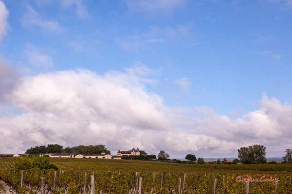 Château d'Yquem et son vignoble, Sauternes. Samedi 10 octobre 2020. Photographie © Christian Coulais