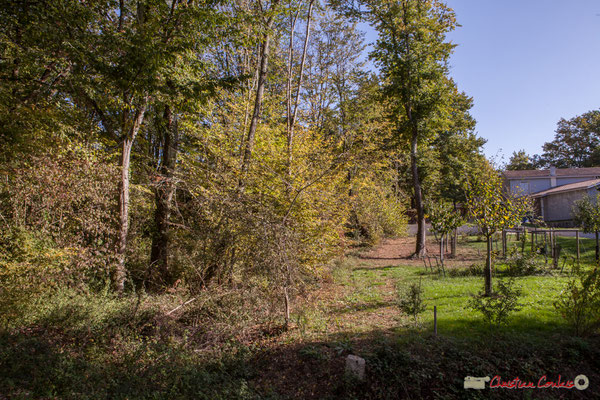 Vers Latresne, fin du boisement à droite, début de constructions éparses. Allée Lamothe, Cénac, Gironde. 16/10/1017