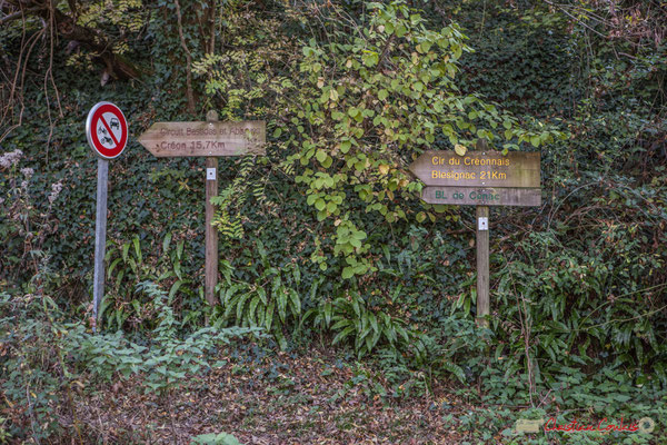 Départ du chemin de Brice, étang des sources de Latresne-bourg de Cénac. Chemin de Brice, Cénac, Gironde. 16/10/2017