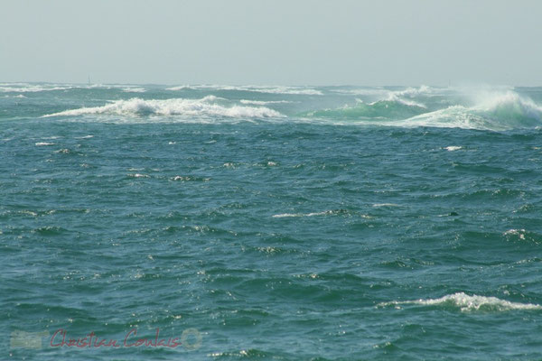 Océan atlantique. Petit-Nice de Pyla-sur-Mer, route de Biscarrosse, forêt domaniale de La Teste-de-Buch