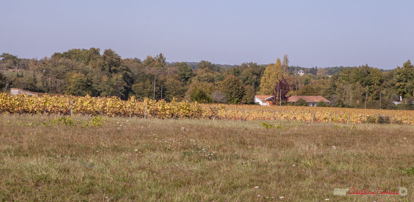 2 Depuis l'avenue de Lignan, "Chabrot" Cénac, Gironde. Vers les hameaux de Montignac et Mons. 16/10/2017