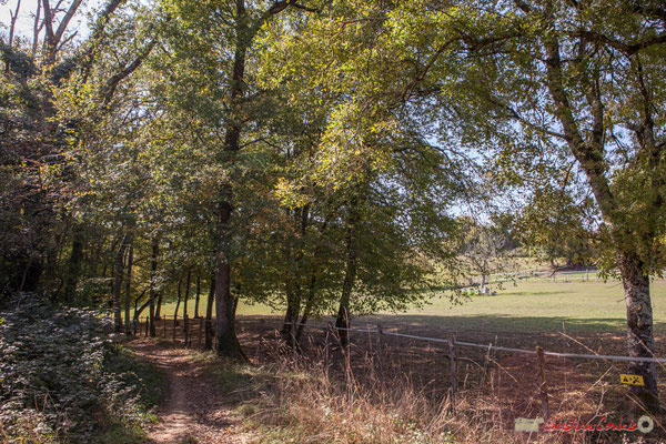 Chemin de randonnée Cénac-Mons, hameau du Cloutet, Cénac, Gironde. 16/10/2017